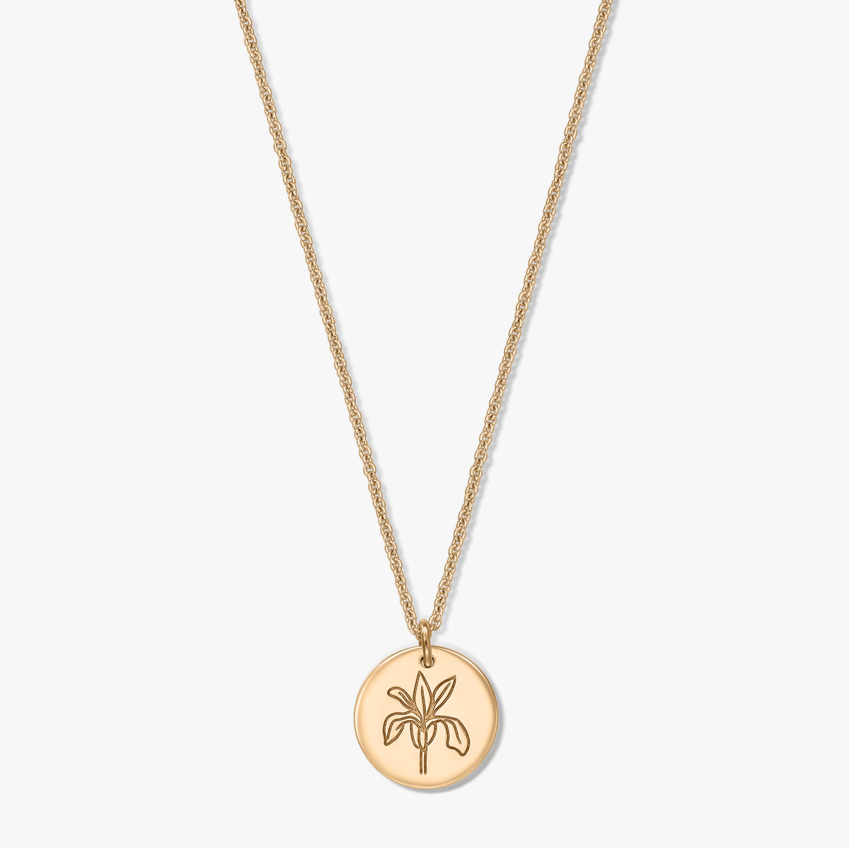 Goldfarbene Geburtsblumen-Halskette mit rundem Anhänger mit Iris-Gravur an einer filigranen Kette, freigestellt vor weißem Hintergrund.