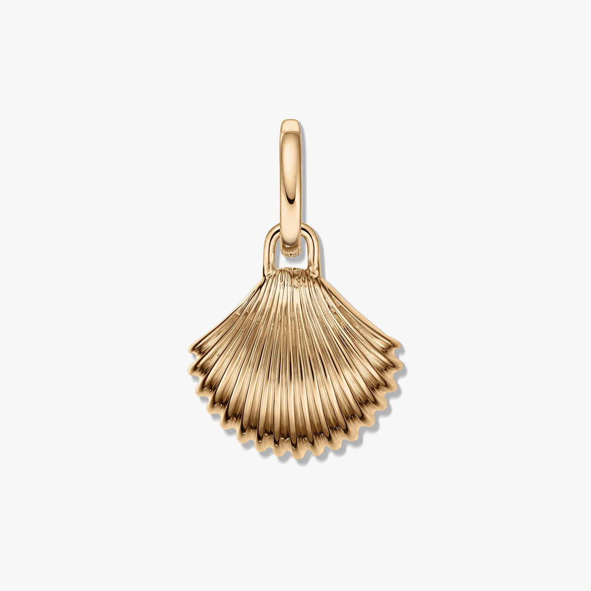 Goldener muschelförmiger Anhänger mit geripptem Muster und polierter goldfarbener Oberfläche vor weißem Hintergrund.
