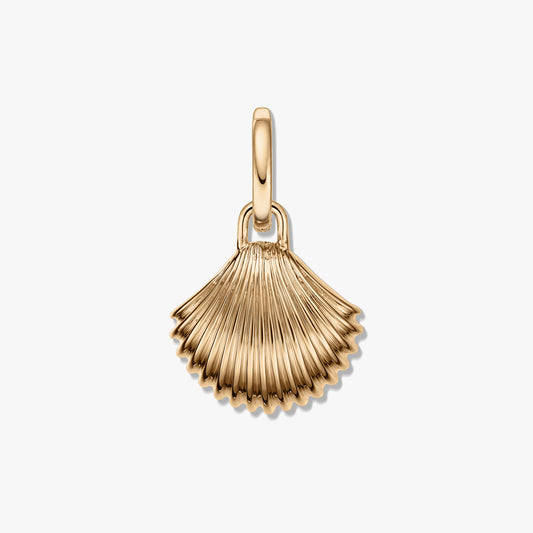 Goldener muschelförmiger Anhänger mit geripptem Muster und polierter goldfarbener Oberfläche vor weißem Hintergrund.