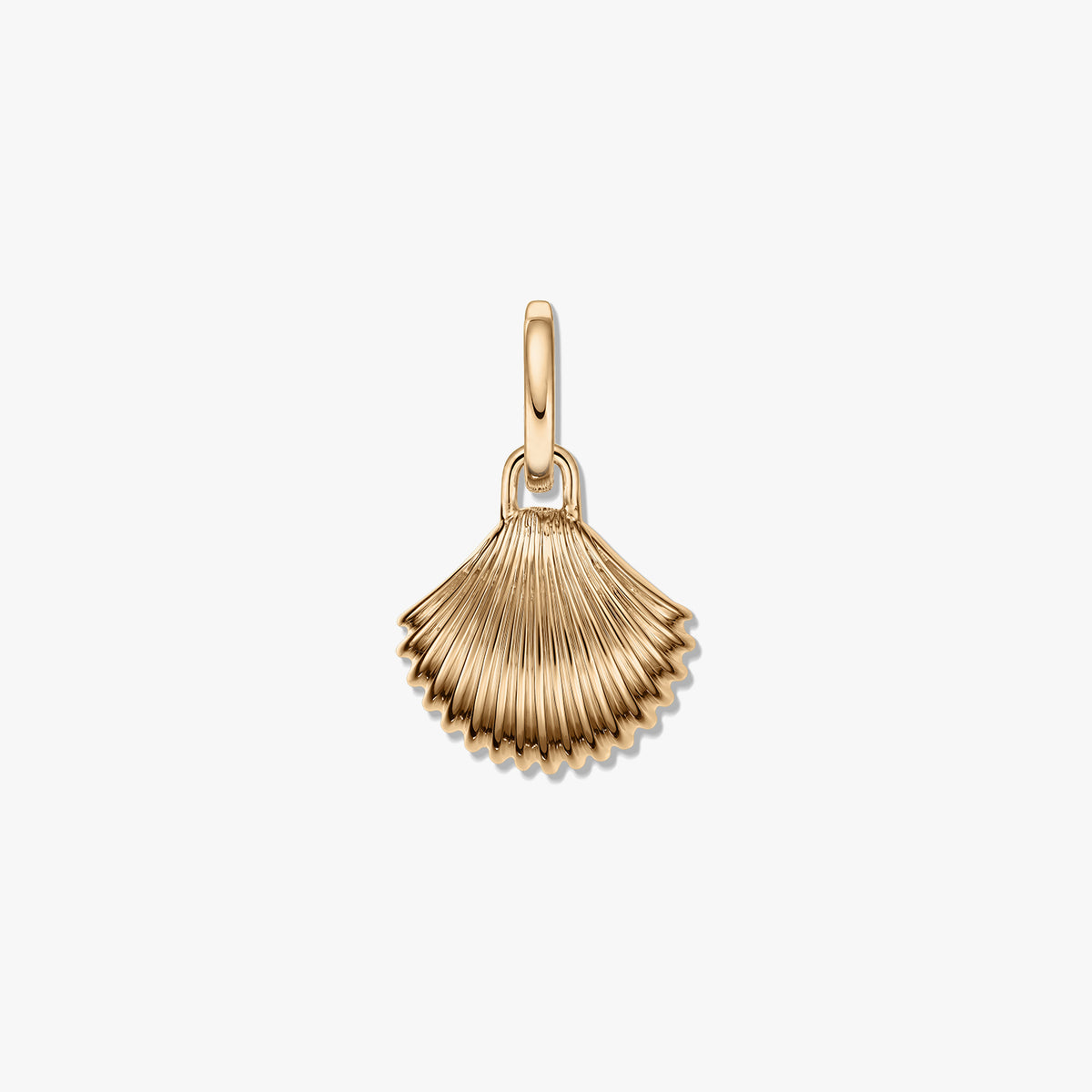 Goldene Muschel-Silber-Anhängers mit geriffelter Fächerform und polierter Oberfläche auf weißem Hintergrund.